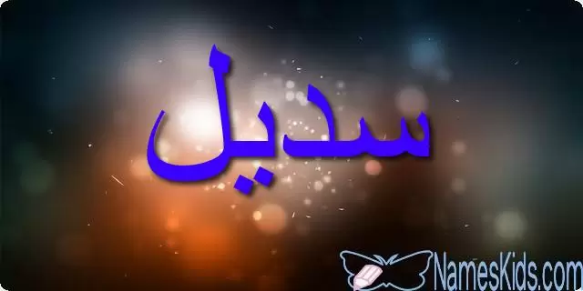 معنى اسم سديل وأصله Sadail