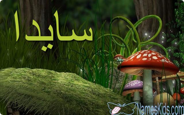 معنى اسم سايدا بالتفصيل Ceyda