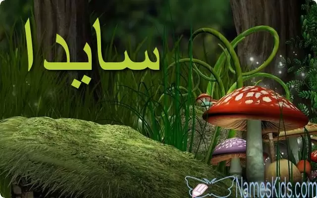 معنى اسم سايدا بالتفصيل Ceyda