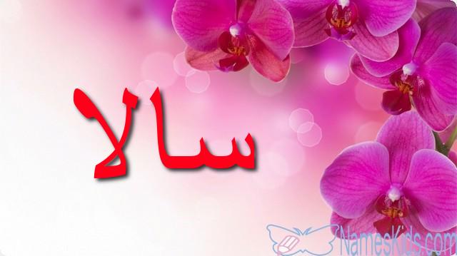 معنى اسم سالا بالتفصيل Sala