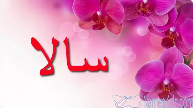 معنى اسم سالا بالتفصيل Sala
