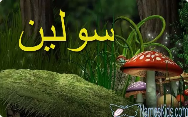 معنى اسم سولين وأصله Soleen