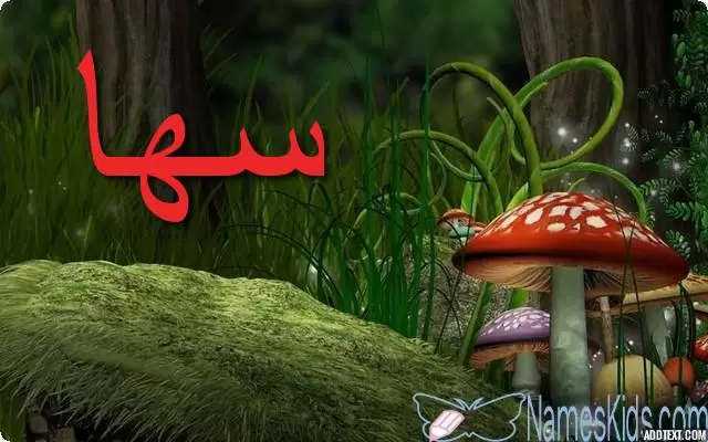معنى اسم سها بالتفصيل Soha