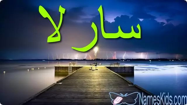 معنى اسم سارلا بالتفصيل Sarla