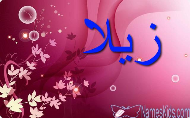 معنى اسم زيلا وصفاتها الشخصية Zila