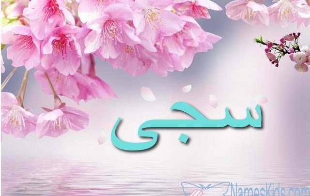 معنى اسم سجى وصفاتها الشخصية Saga