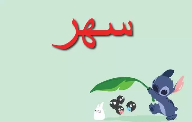 معنى اسم سهر بالتفصيل Sahaar