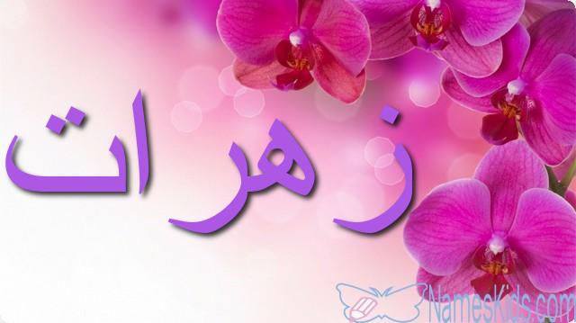 معنى اسم زهرات وصفات شخصيتها Zahrat