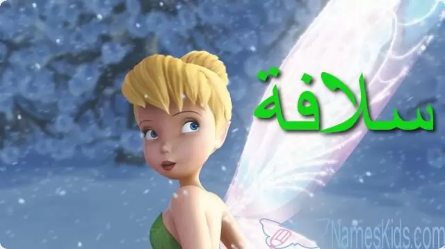 معنى اسم سلافة بالتفصيل Solafa