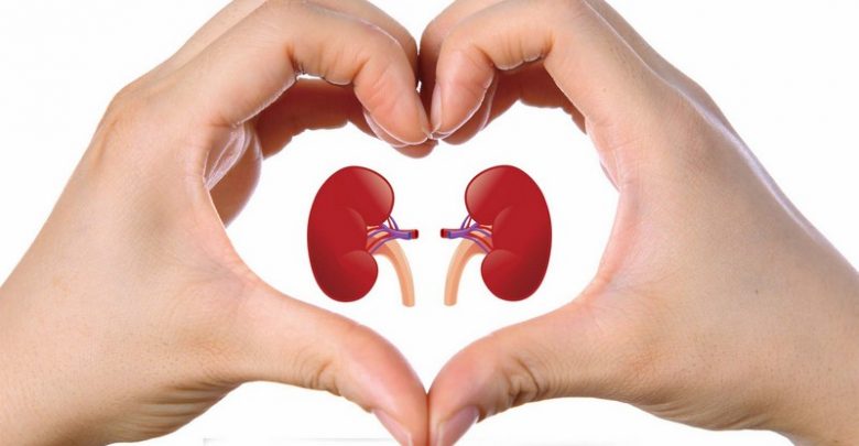 أفضل 10 أغذية مفيدة لمرضى الكلى