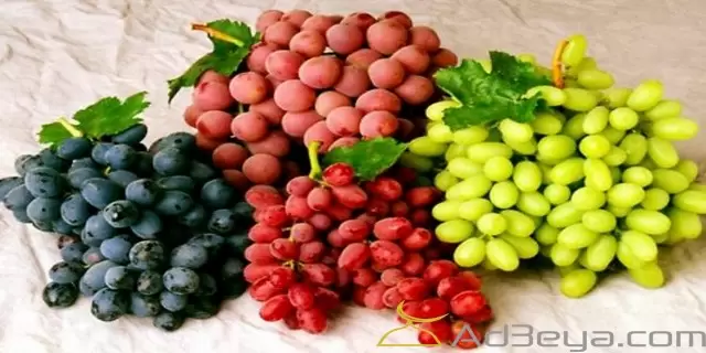 تفسير رؤية العنب في المنام بالتفاصيل
