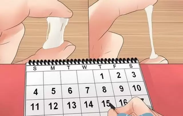 ماهي أيام التبويض حتى يتم حدوث الحمل