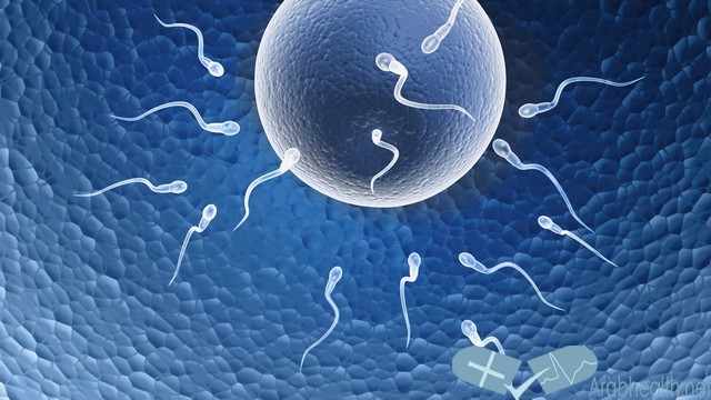 كيفية زيادة خصوبة المرأة