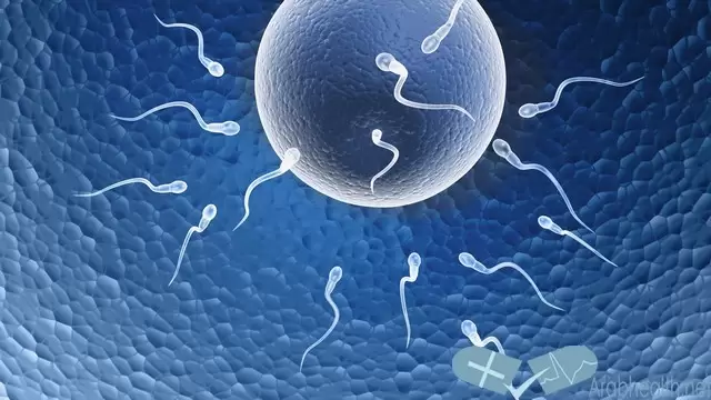 كيفية زيادة خصوبة المرأة