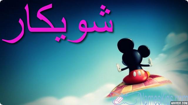 معنى اسم شويكار وصفاته Shwikar