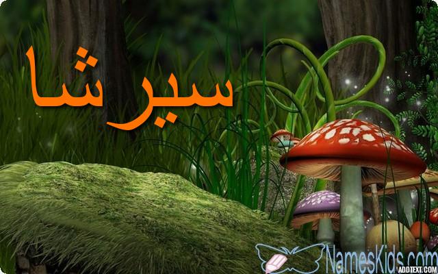 معنى اسم سيرشا بالتفصيل Saoirse
