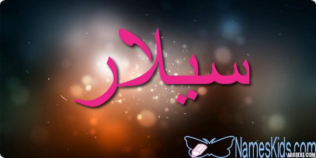 معنى اسم سيلار بالتفصيل Selar