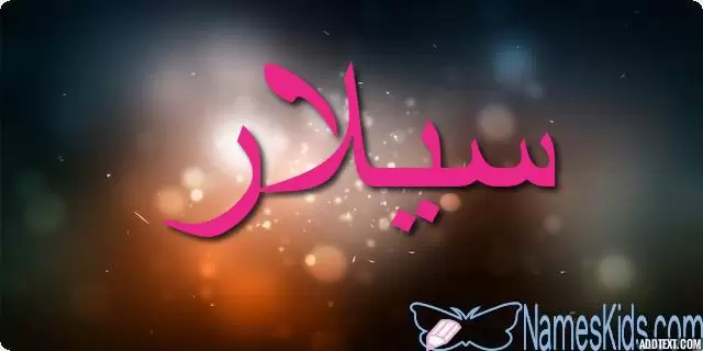 معنى اسم سيلار بالتفصيل Selar