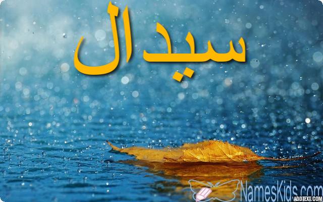 معنى اسم سيدال وأصله Sedal