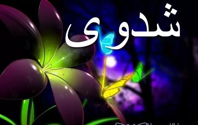معنى اسم شدوى بالتفصيل Shadwa