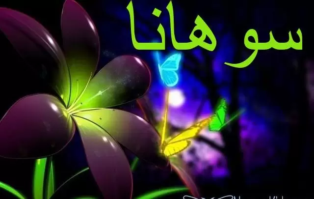 معنى اسم سوهانا وأصله Sohana