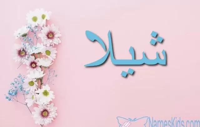 معنى اسم شيلا بالتفصيل Sheila