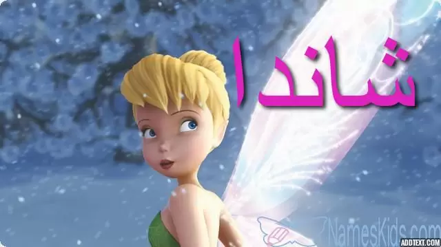 معنى اسم شاندا بالتفصيل Shanda