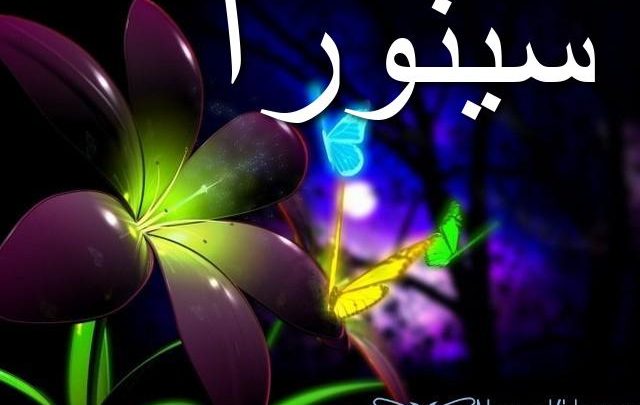 معنى اسم سينورا وأصله Senora