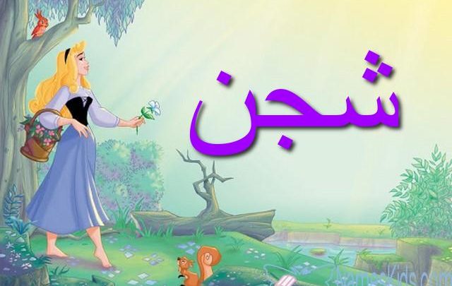 معنى اسم شجن بالتفصيل Shajan