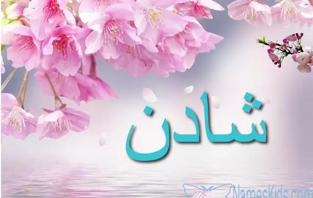 معنى اسم شادن وأصله Shaden