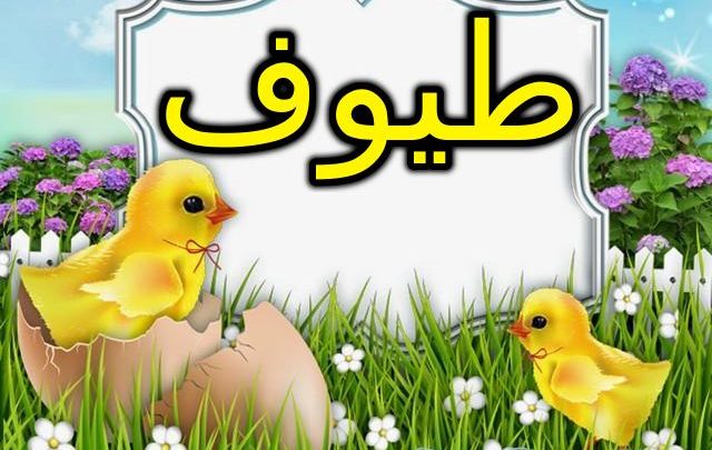 معنى اسم طيوف بالتفصيل Toyof