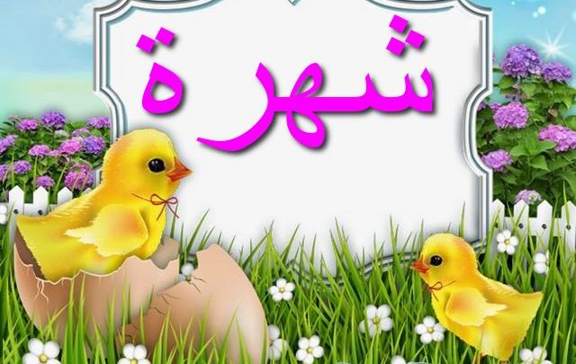 معنى اسم شهرة بالتفصيل Shohra