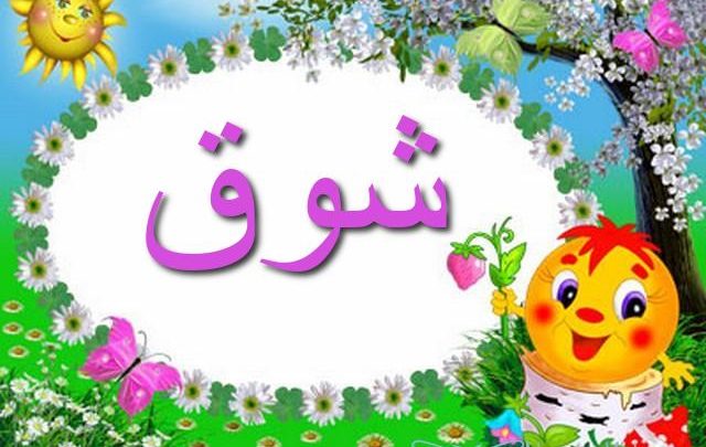 معنى اسم شوق بالتفصيل Shawk