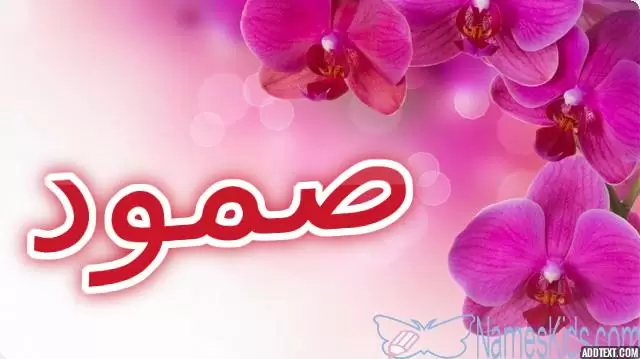 معنى اسم صمود وأصله Somoud