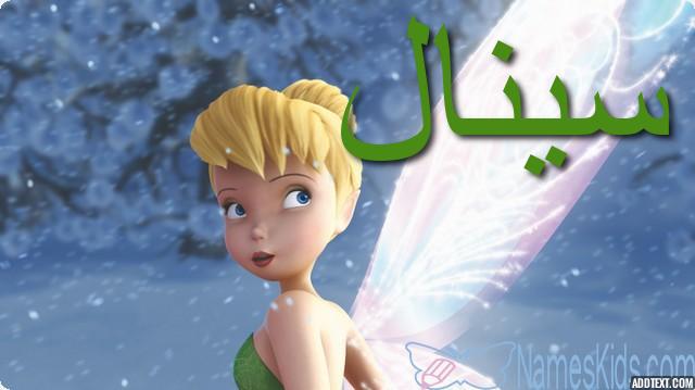 معنى اسم سينال بالتفصيل Sinal