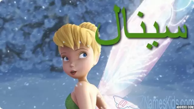 معنى اسم سينال بالتفصيل Sinal