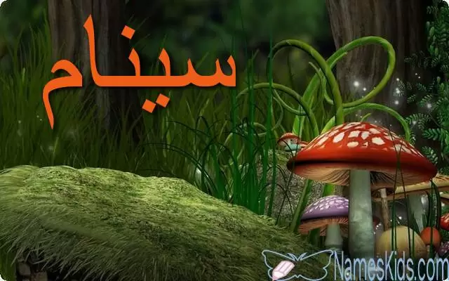 معنى اسم سينام وأصله Sinam