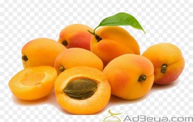 تفسير رؤية حلم المشمش في المنام لابن سيرين