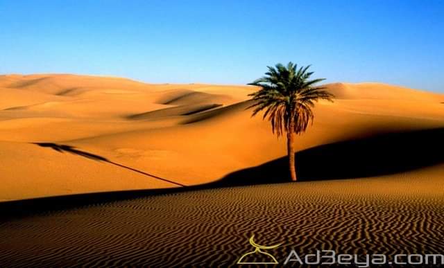 تفسير رؤية حلم الصحراء في المنام بالتفصيل