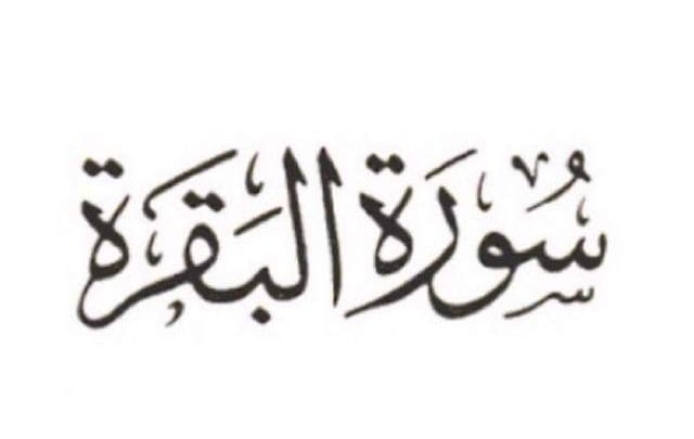 تفسير حلم قراءة سورة البقرة في المنام لابن سيرين بالتفصيل