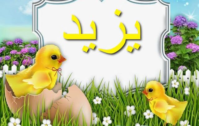 معنى اسم يزيد وصفات شخصيته Yazid