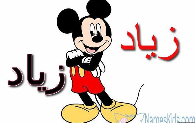 معنى اسم زياد وصفات شخصيته Ziad