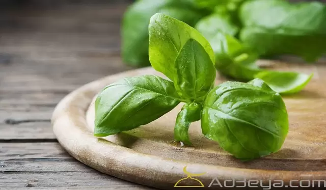 تفسير حلم الريحان في المنام لابن سيرين