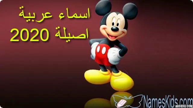 اسماء عربية اصيلة للبنات والذكور