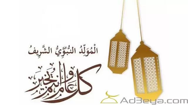 المولد