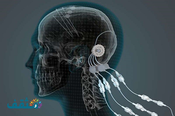 إذاعة مدرسية عن النقاء من السموم