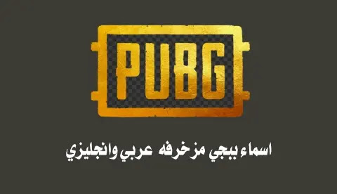 اسماء ببجي 2025 Pubg