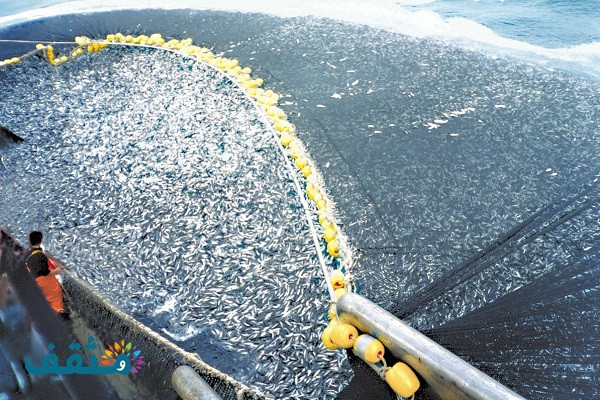 أضرار الصيد الجائر أو الصيد غير المشروع .. وما هي أنواعه ؟
