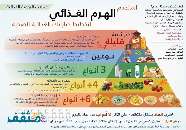 مطويات عن الغذاء الصحي المتوازن