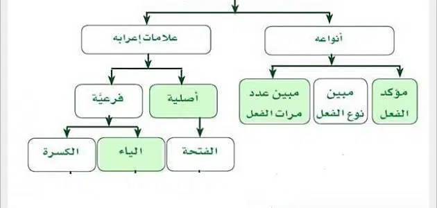 دراسة الفرق بين المفعول المطلق والتمييز بشكل مفصل